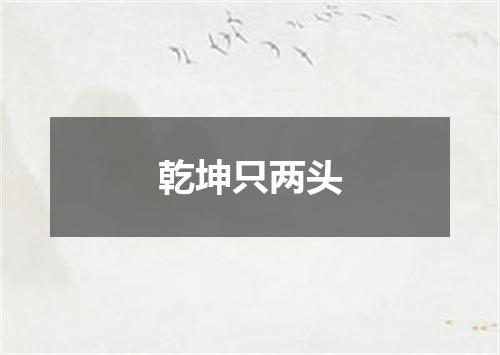 乾坤只两头