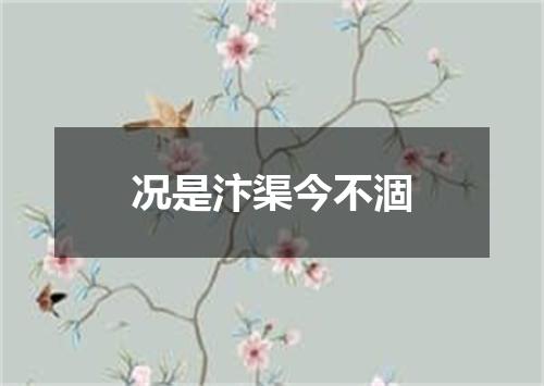 况是汴渠今不涸