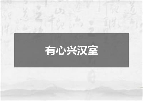 有心兴汉室
