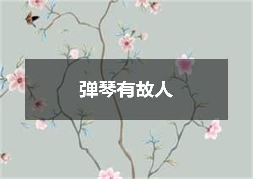 弹琴有故人