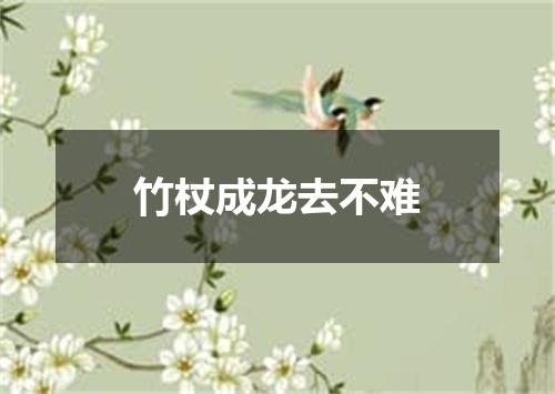 竹杖成龙去不难