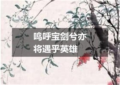 鸣呼宝剑兮亦将遇乎英雄