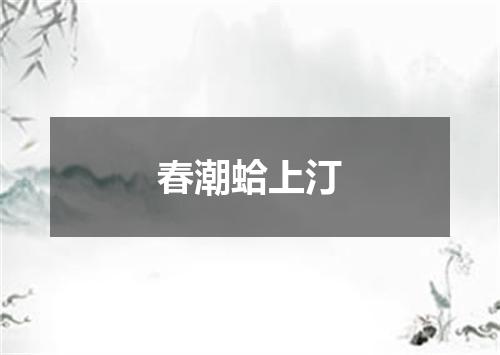 春潮蛤上汀