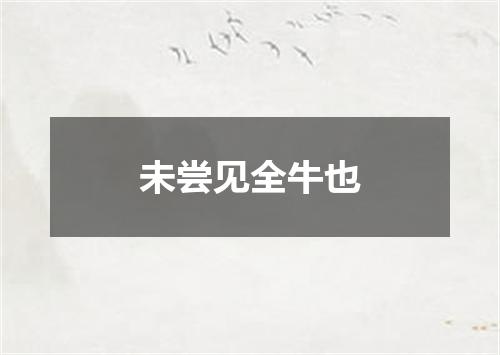 未尝见全牛也