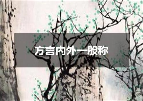 方言内外一般称