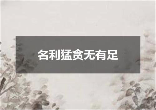 名利猛贪无有足