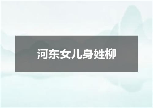 河东女儿身姓柳