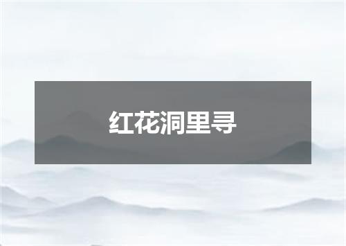 红花洞里寻