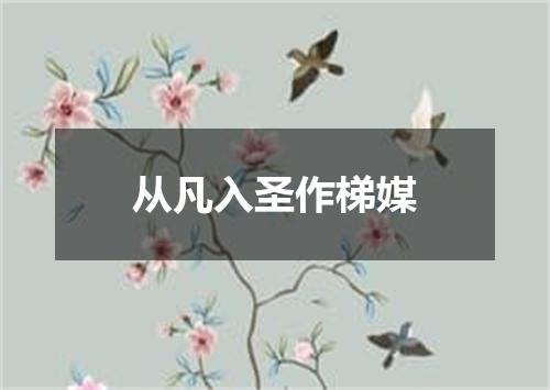 从凡入圣作梯媒