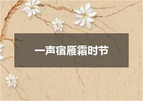一声宿雁霜时节