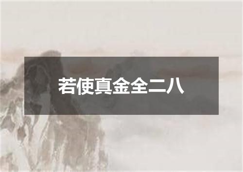 若使真金全二八