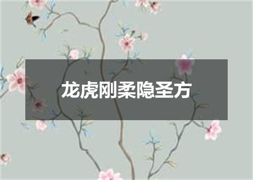 龙虎刚柔隐圣方