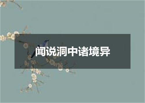 闻说洞中诸境异