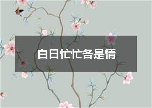 白日忙忙各是情