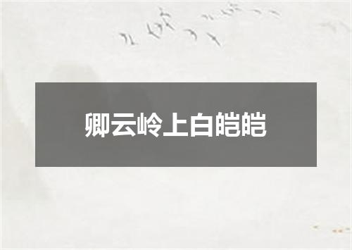 卿云岭上白皑皑