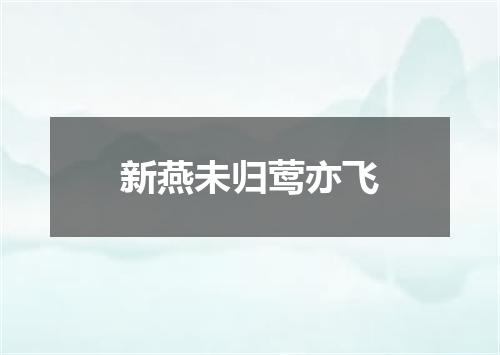 新燕未归莺亦飞