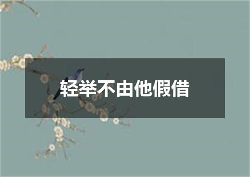 轻举不由他假借