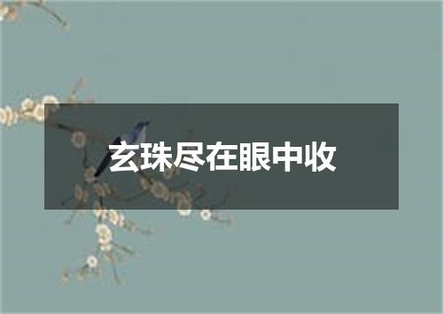 玄珠尽在眼中收