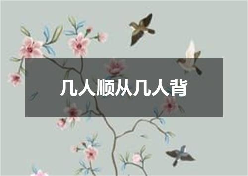 几人顺从几人背