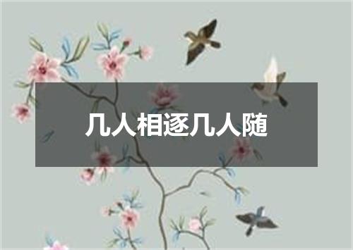 几人相逐几人随