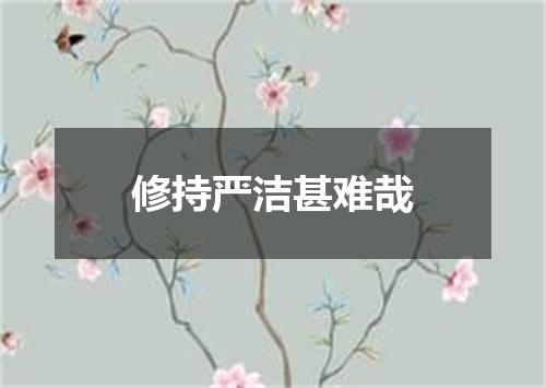 修持严洁甚难哉