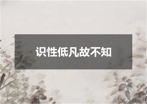 识性低凡故不知