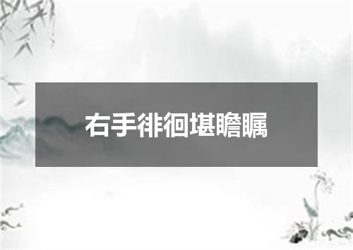右手徘徊堪瞻瞩