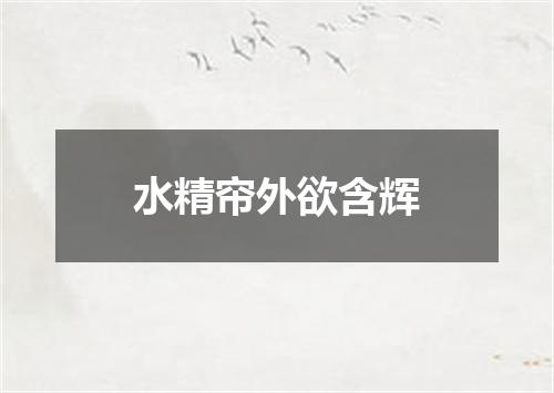 水精帘外欲含辉