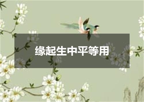缘起生中平等用