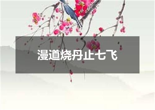 漫道烧丹止七飞