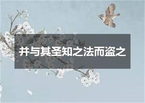 并与其圣知之法而盗之