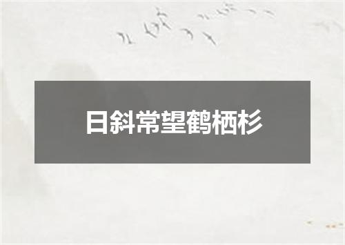 日斜常望鹤栖杉