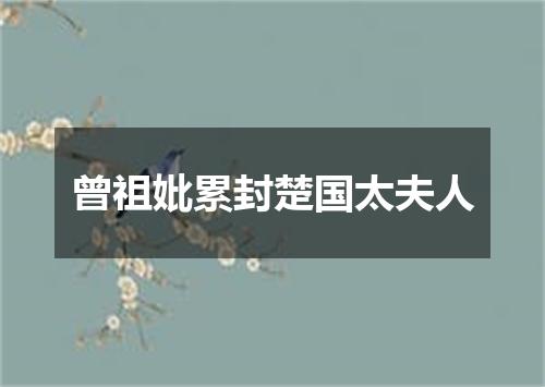 曾祖妣累封楚国太夫人