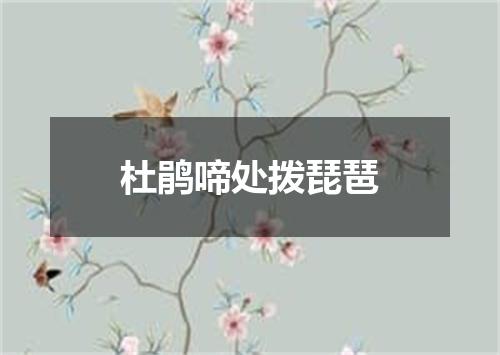 杜鹃啼处拨琵琶