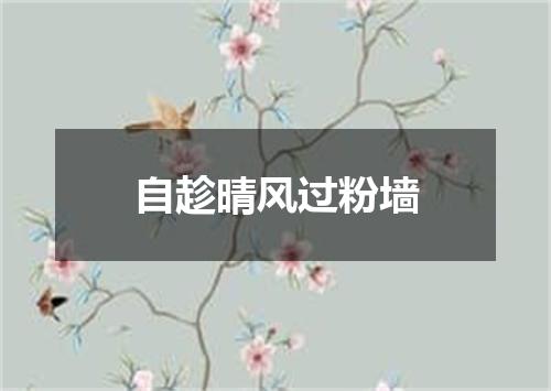 自趁晴风过粉墙