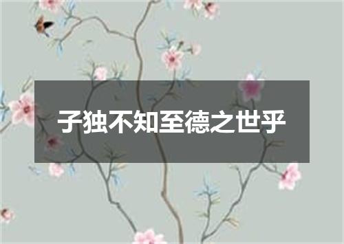 子独不知至德之世乎