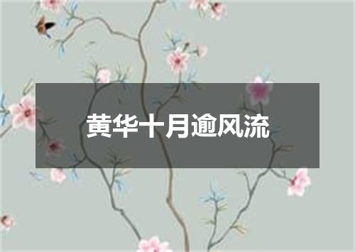 黄华十月逾风流