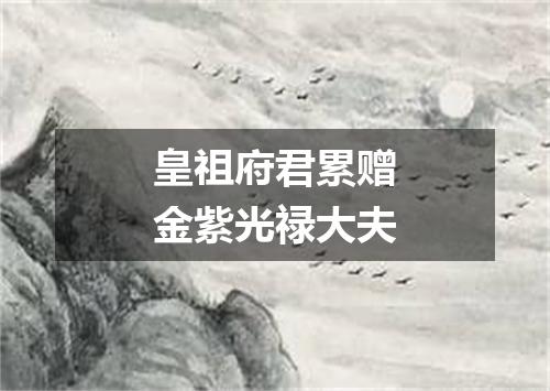皇祖府君累赠金紫光禄大夫