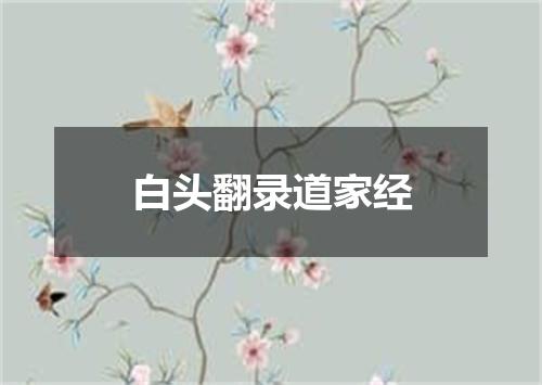 白头翻录道家经