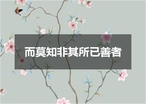 而莫知非其所已善者