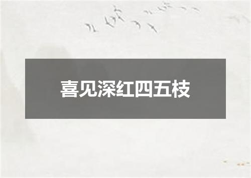 喜见深红四五枝