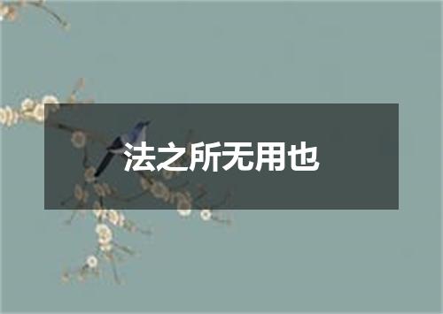 法之所无用也