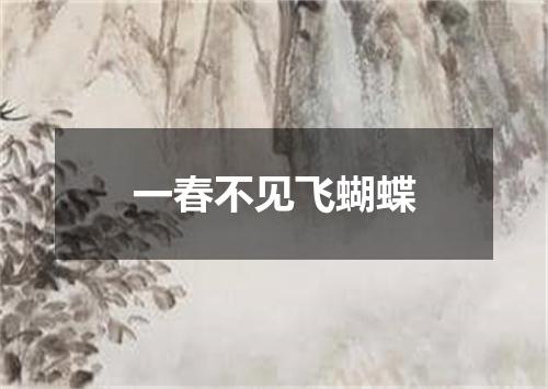 一春不见飞蝴蝶