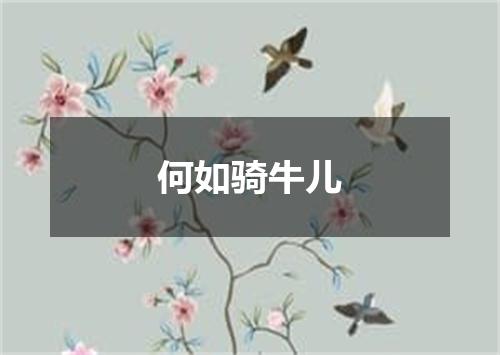 何如骑牛儿