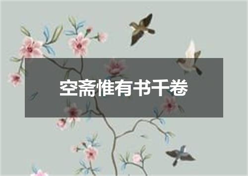 空斋惟有书千卷