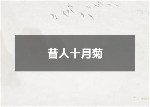 昔人十月菊