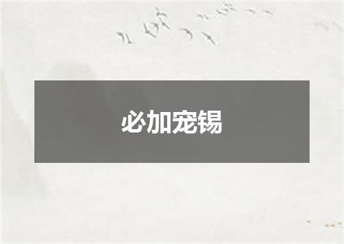 必加宠锡