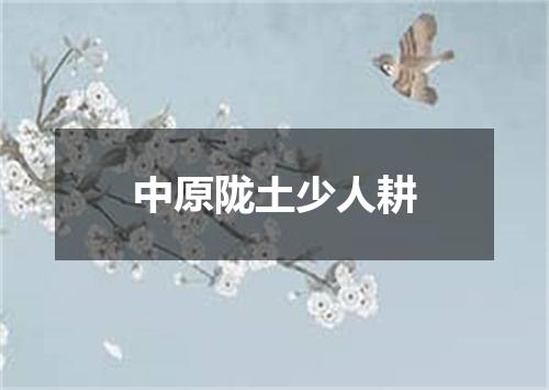 中原陇土少人耕