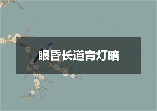 眼昏长道青灯暗