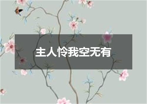 主人怜我空无有
